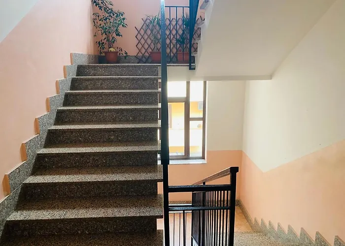 Angelina House 特罗佩阿